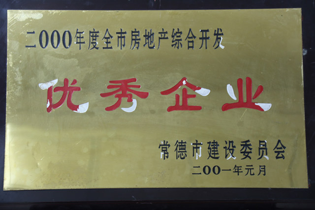 2000年度全市房地产综合开发一”优秀企业“