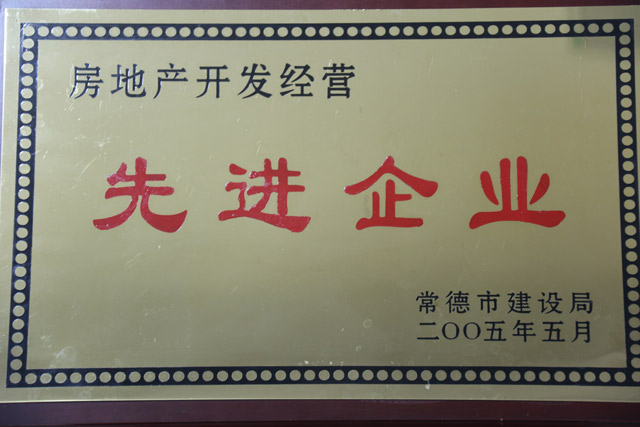 2004年房地产开发经营一”先进企业“